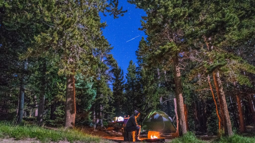 Bästa campingsågen