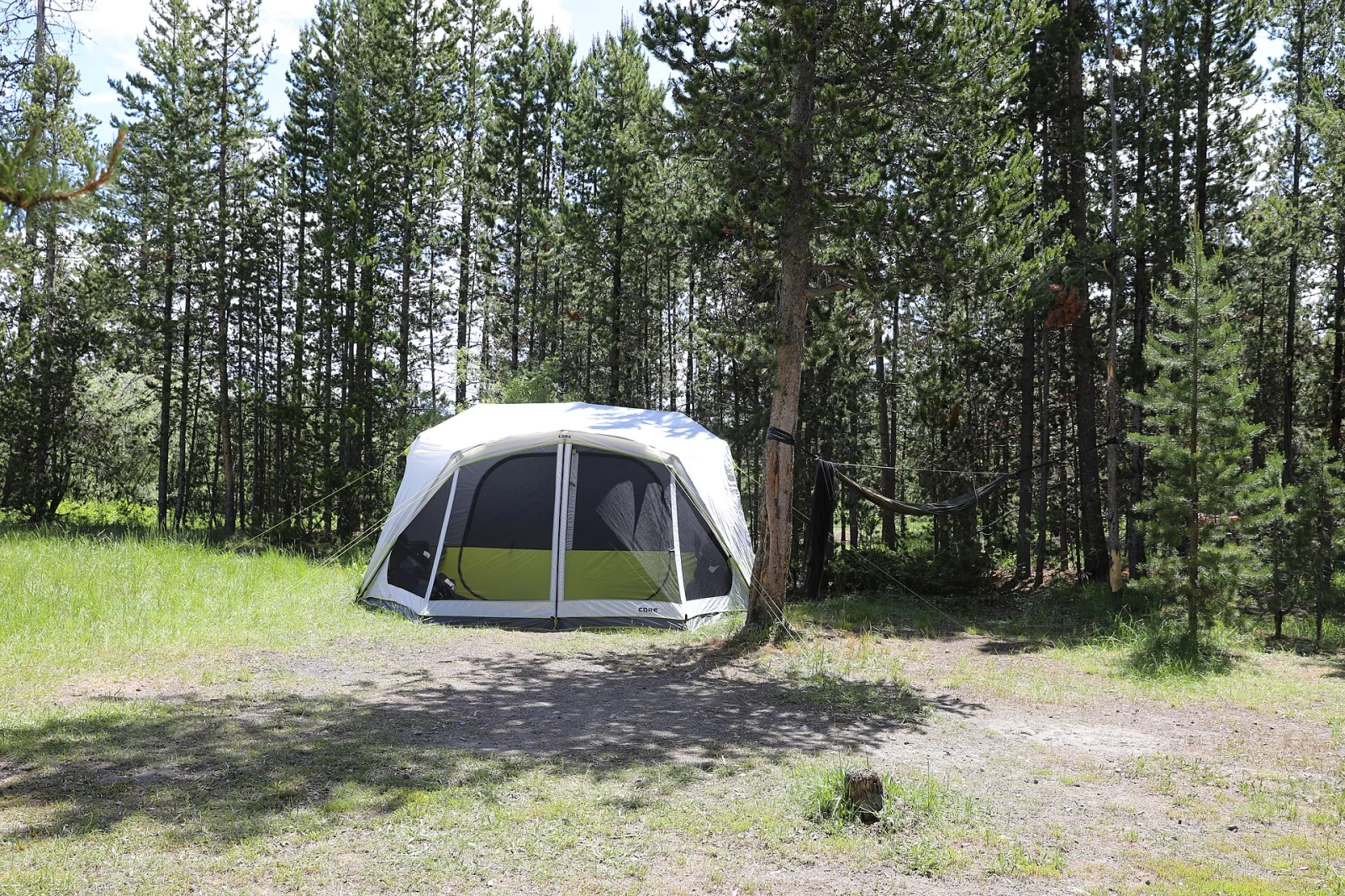 Hängmatta och tält uppsatta på en campingplats i skogsmiljö