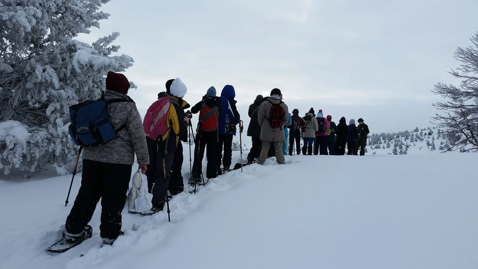 Grupp som vandrar med snöskor i vinterlandskap