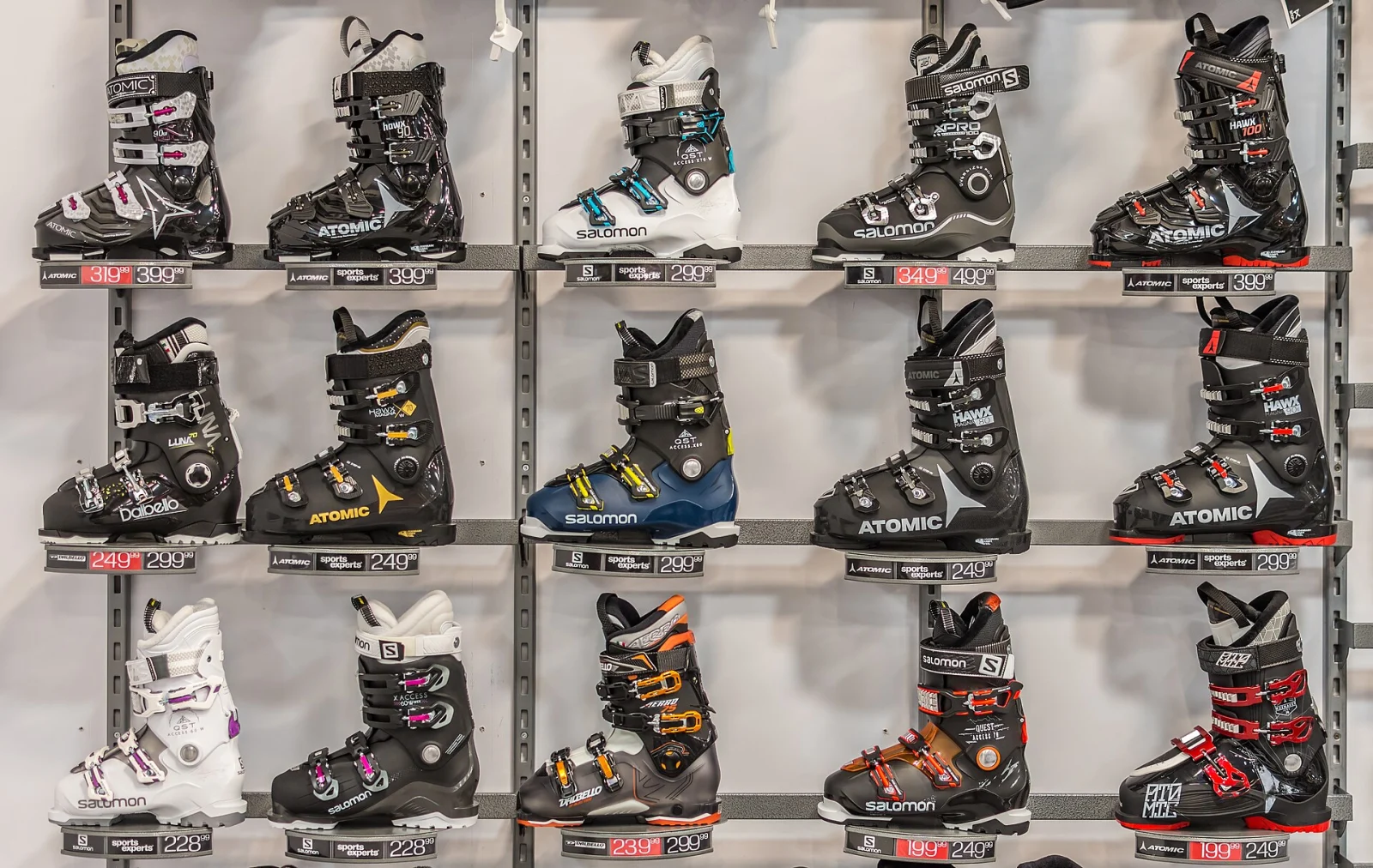 Ett par alpina skidpjäxor