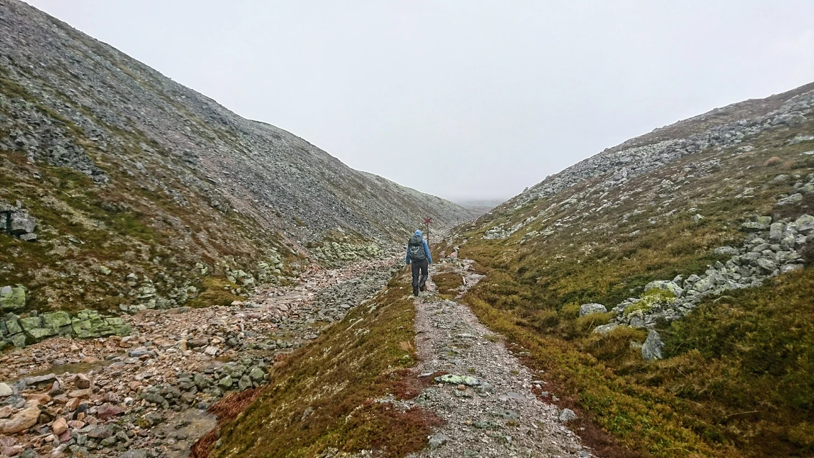 Vandrare på fjället i Sonfjällets nationalpark