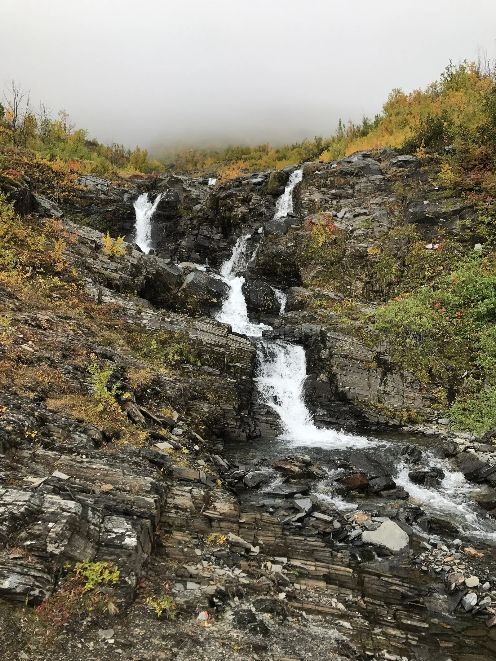 Fjällbäck på Njulla i Abisko nationalpark